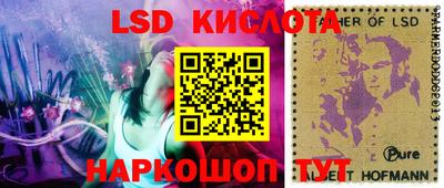 ПСИЛОЦИБИНОВЫЕ ГРИБЫ Гатчина