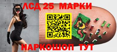 ПСИЛОЦИБИНОВЫЕ ГРИБЫ Гатчина